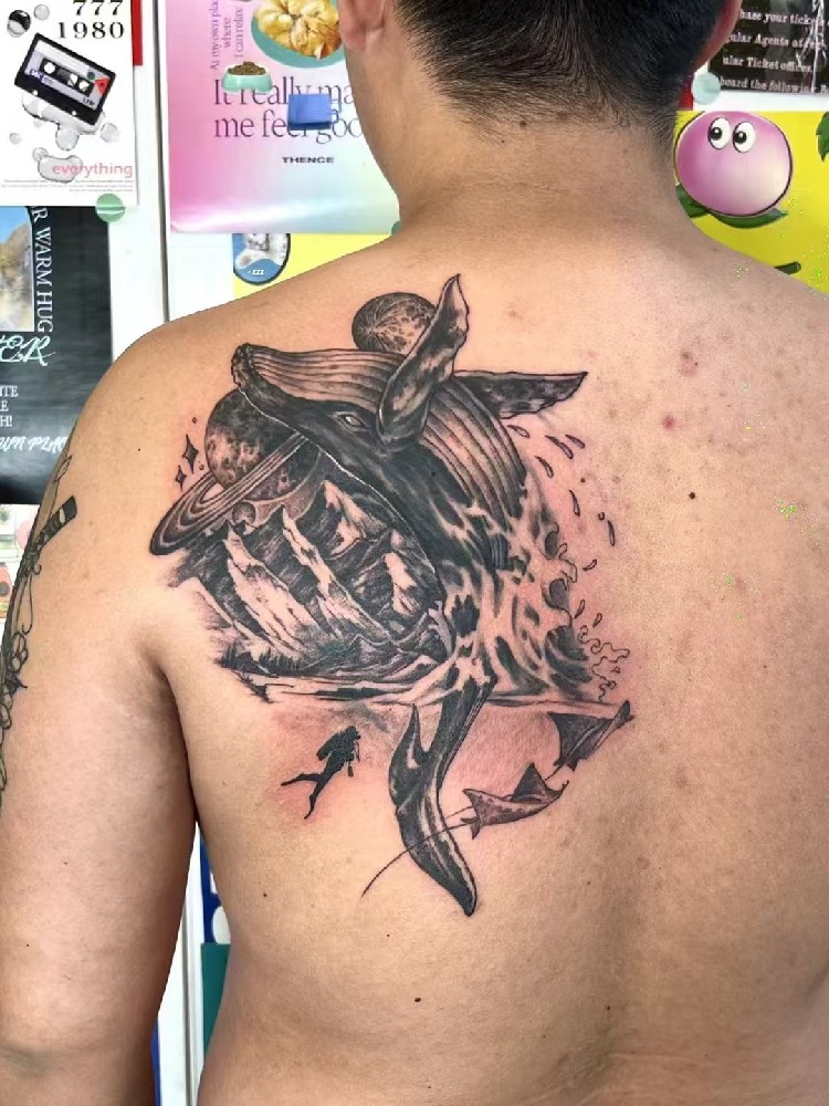 鲸鱼|修改|遮盖纹身